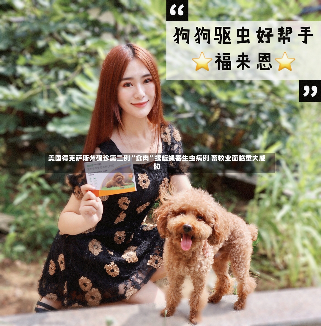 美国得克萨斯州确诊第二例“食肉”螺旋蝇寄生虫病例 畜牧业面临重大威胁