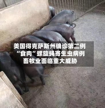 美国得克萨斯州确诊第二例“食肉	”螺旋蝇寄生虫病例 畜牧业面临重大威胁-第2张图片