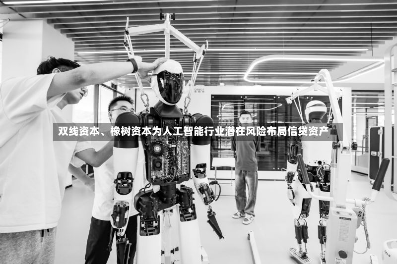 双线资本	、橡树资本为人工智能行业潜在风险布局信贷资产-第3张图片