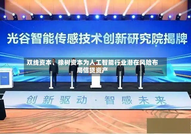 双线资本、橡树资本为人工智能行业潜在风险布局信贷资产-第2张图片