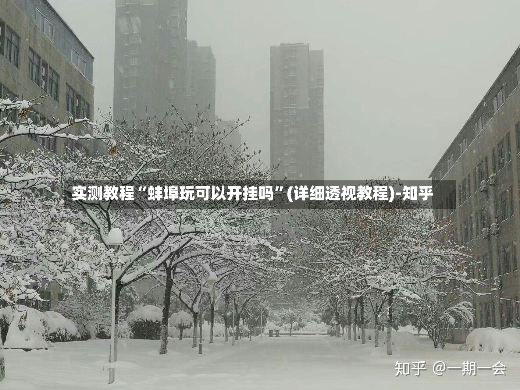 实测教程“蚌埠玩可以开挂吗”(详细透视教程)-知乎-第3张图片