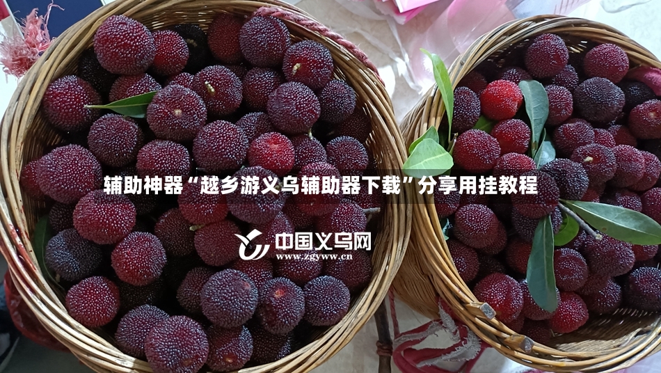辅助神器“越乡游义乌辅助器下载”分享用挂教程-第2张图片