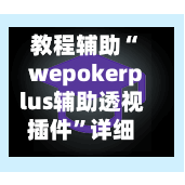教程辅助“wepokerplus辅助透视插件	”详细分享装挂步骤教程-第2张图片
