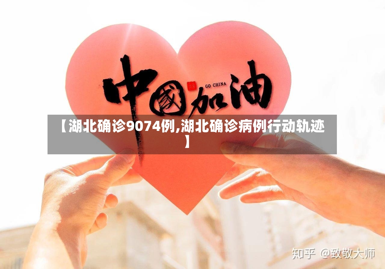 【湖北确诊9074例,湖北确诊病例行动轨迹】