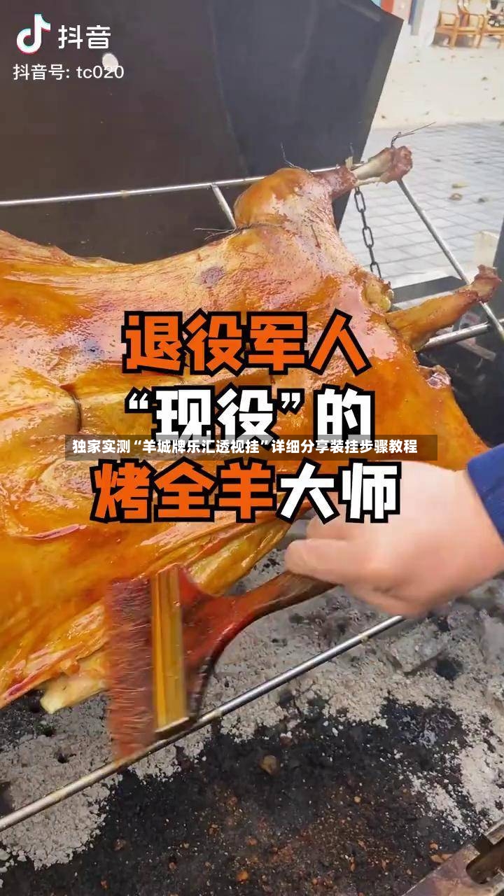 独家实测“羊城牌乐汇透视挂”详细分享装挂步骤教程-第3张图片