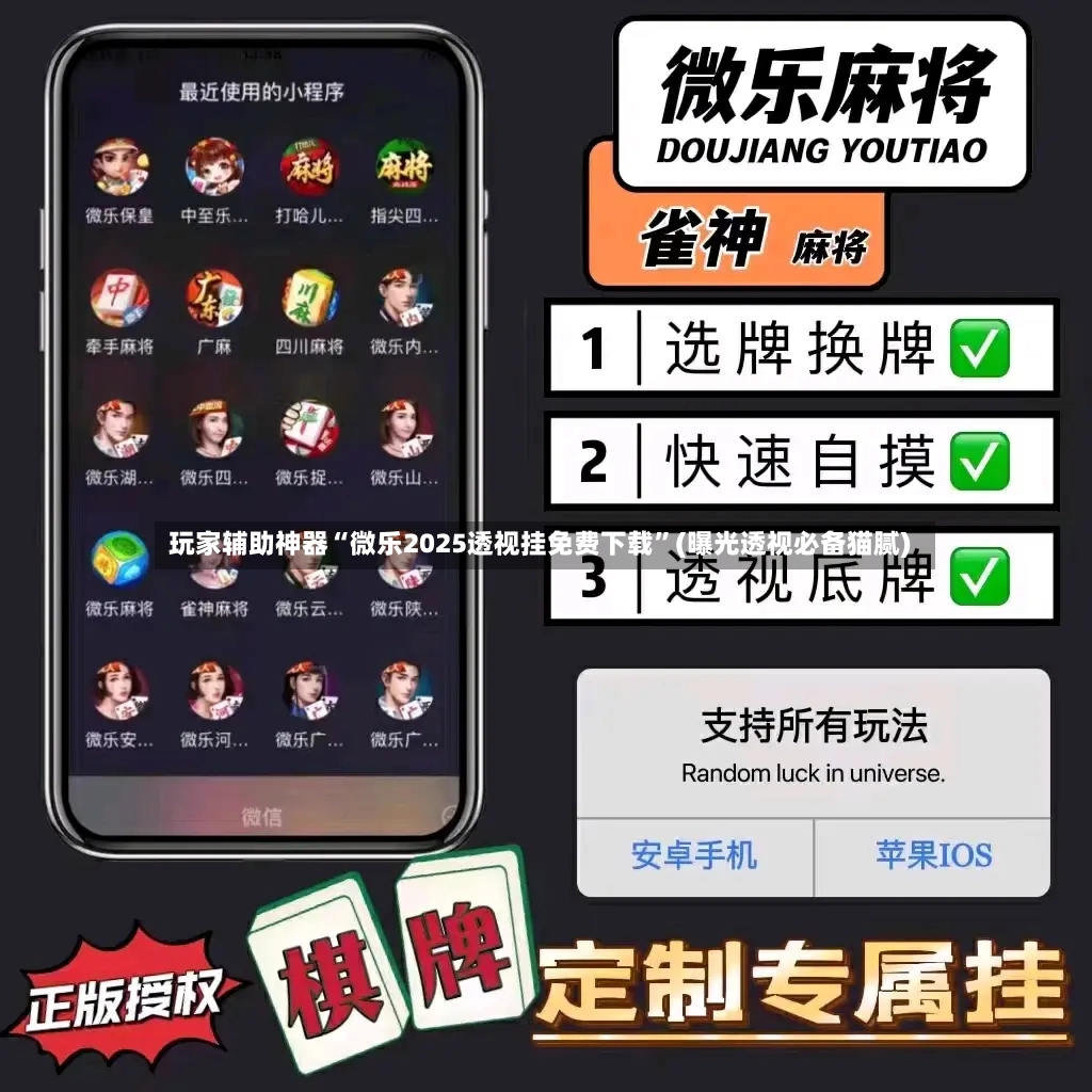 玩家辅助神器“微乐2025透视挂免费下载	”(曝光透视必备猫腻)-第3张图片