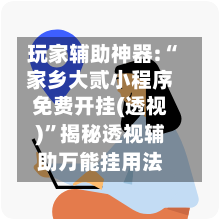 玩家辅助神器:“家乡大贰小程序免费开挂(透视)	”揭秘透视辅助万能挂用法-第2张图片
