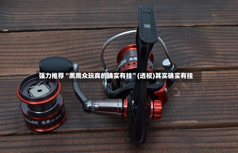 强力推荐“黑鹰众玩真的确实有挂”(透视)其实确实有挂-第3张图片
