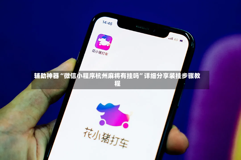 辅助神器“微信小程序杭州麻将有挂吗”详细分享装挂步骤教程-第3张图片