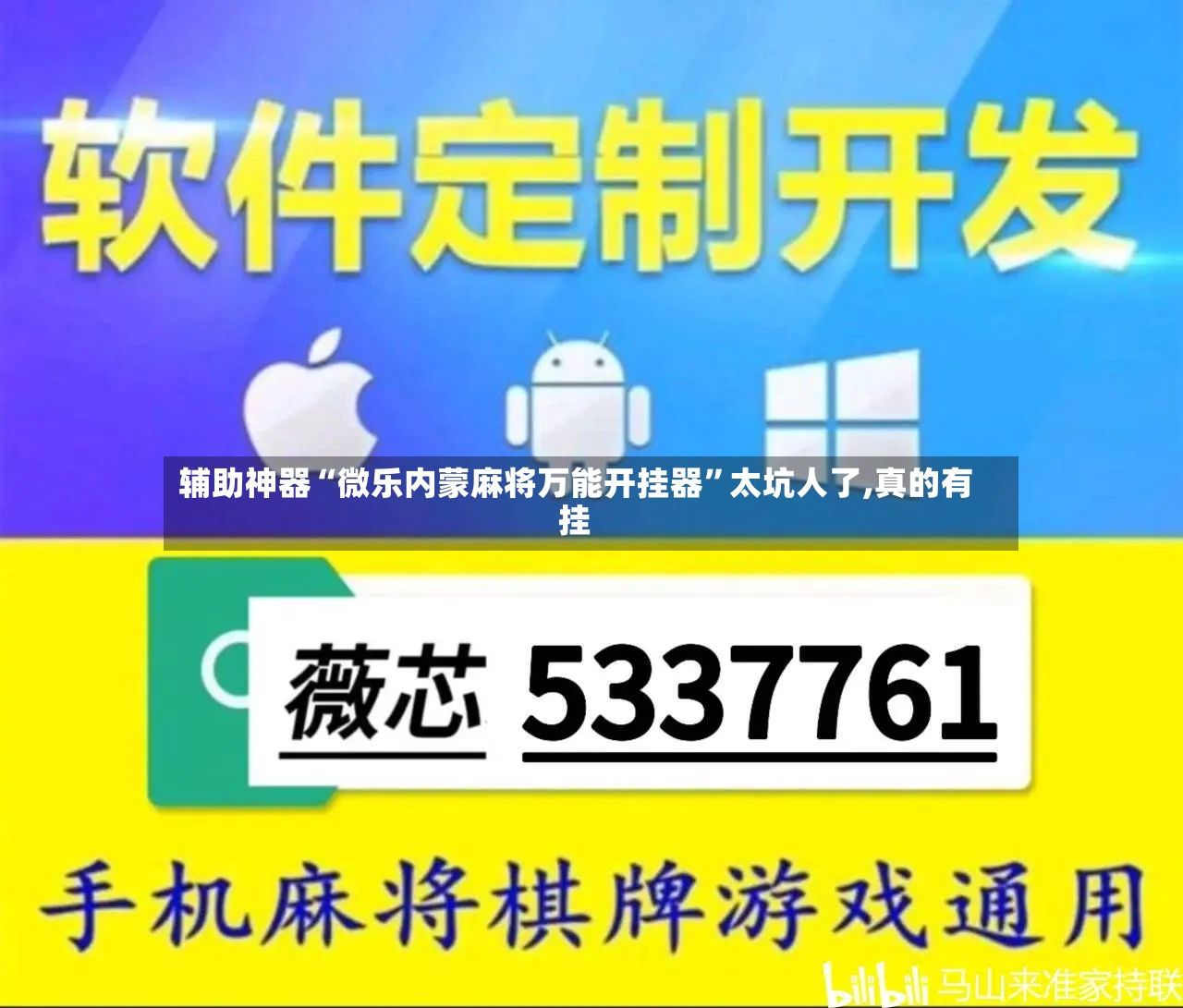 辅助神器“微乐内蒙麻将万能开挂器”太坑人了,真的有挂-第2张图片