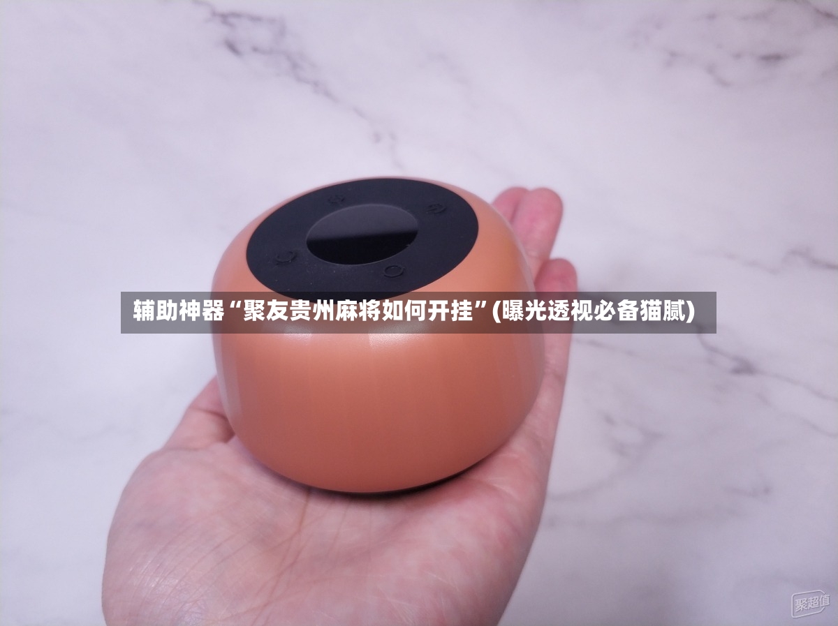 辅助神器“聚友贵州麻将如何开挂	”(曝光透视必备猫腻)-第2张图片