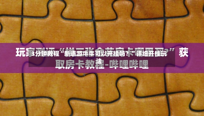 3分钟教程“新道游牛牛可以开挂吗？	”详细开挂玩法-第2张图片