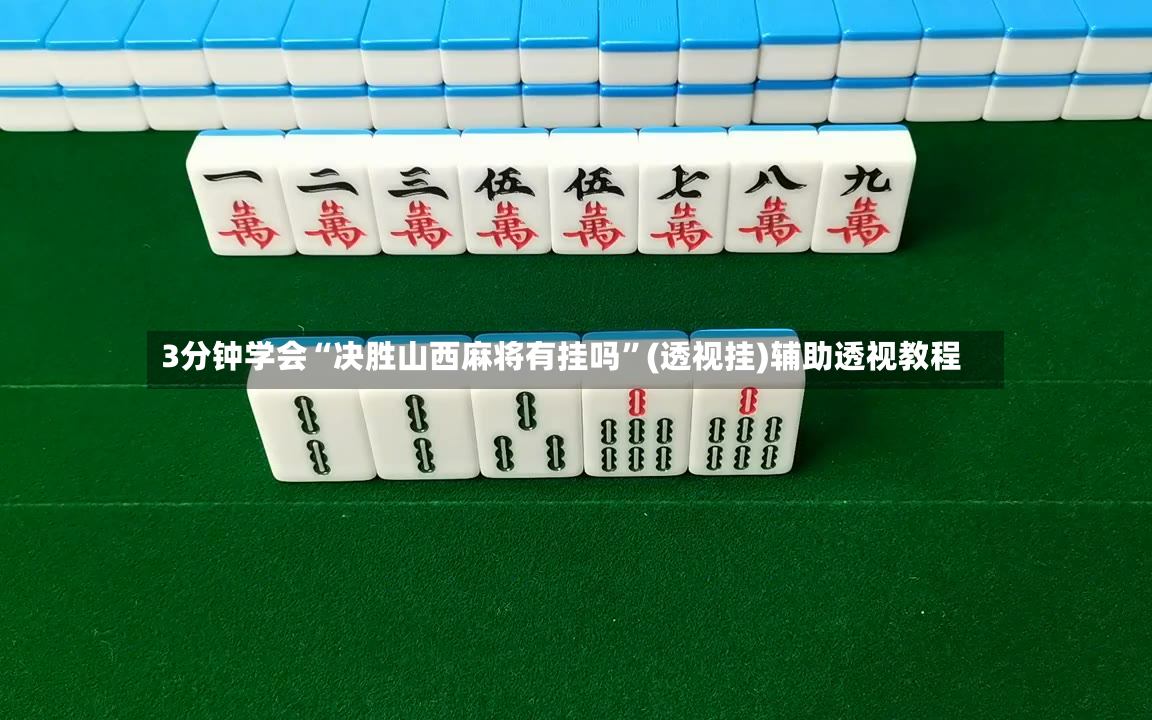 3分钟学会“决胜山西麻将有挂吗”(透视挂)辅助透视教程-第3张图片