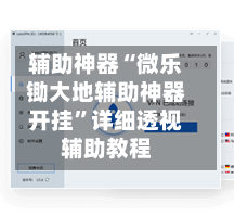 辅助神器“微乐锄大地辅助神器开挂”详细透视辅助教程-第3张图片