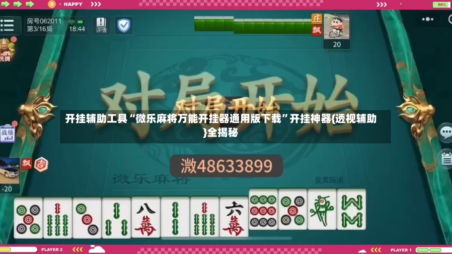 开挂辅助工具“微乐麻将万能开挂器通用版下载”开挂神器{透视辅助}全揭秘-第2张图片