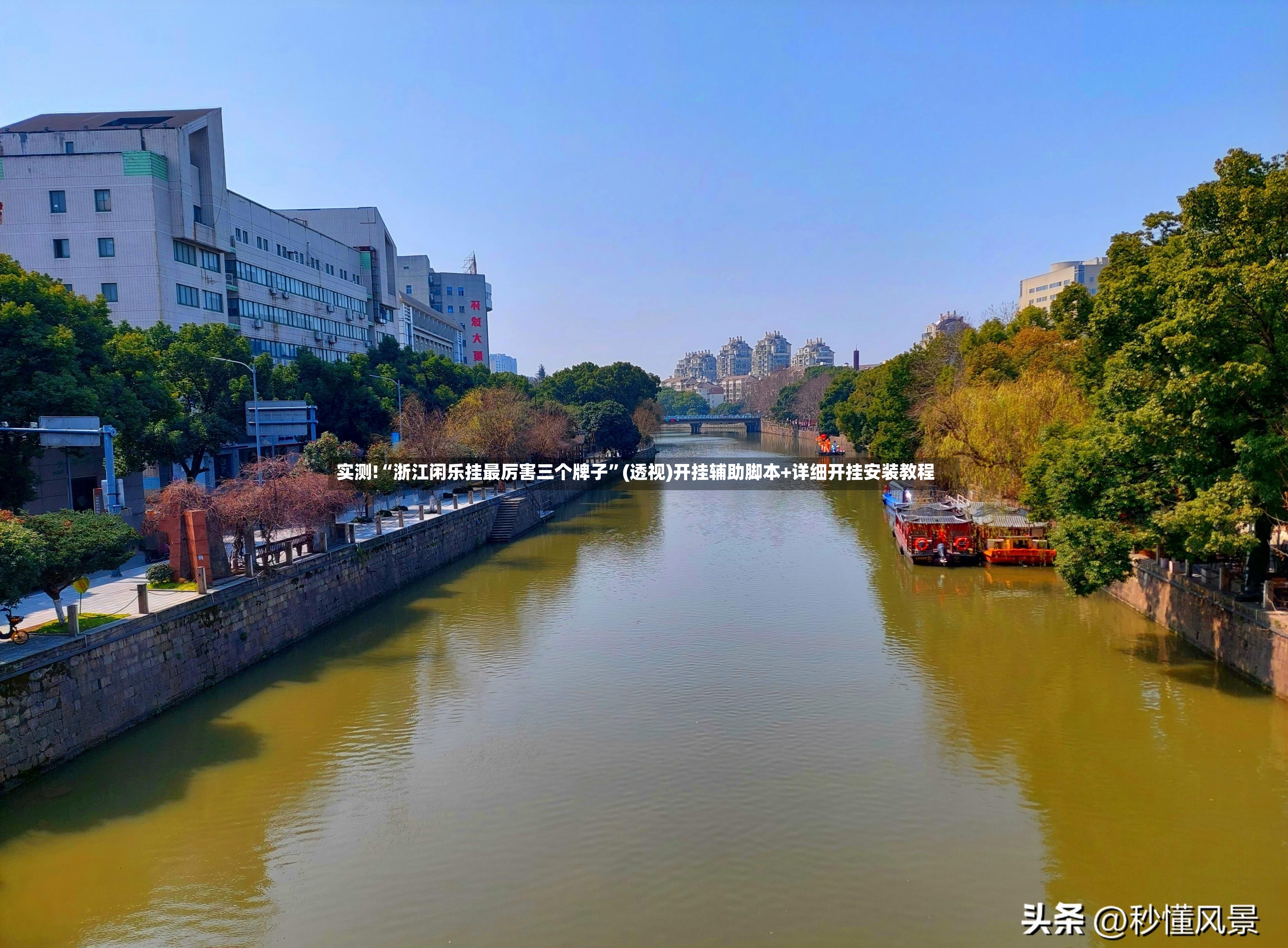 实测!“浙江闲乐挂最厉害三个牌子”(透视)开挂辅助脚本+详细开挂安装教程-第2张图片