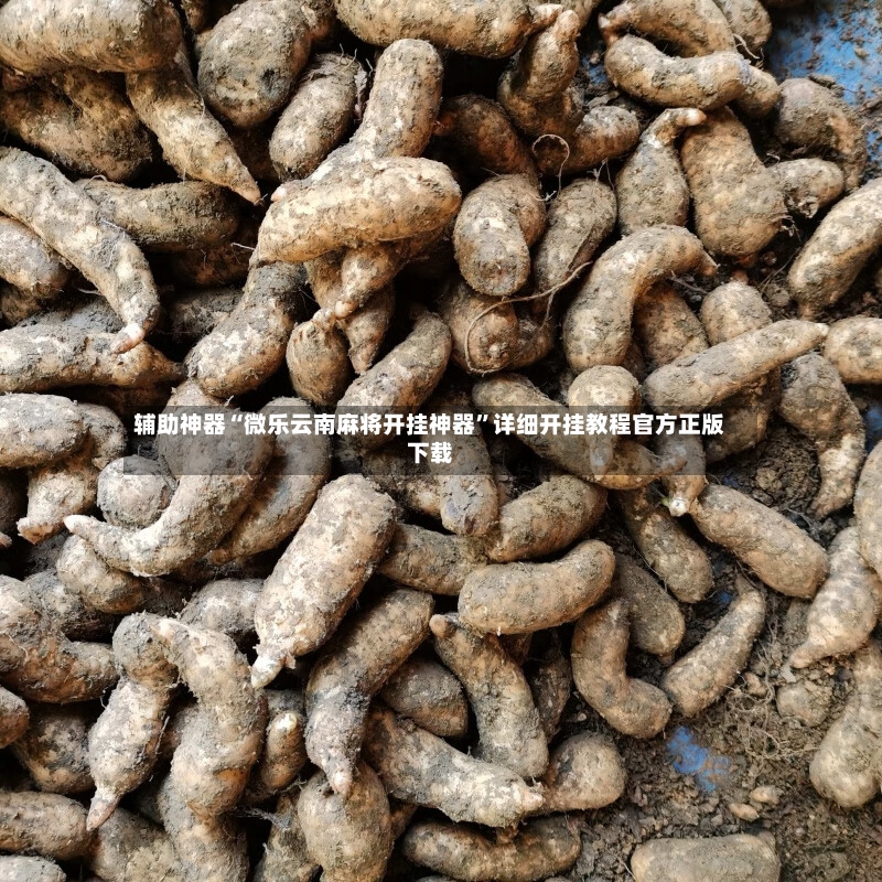 辅助神器“微乐云南麻将开挂神器	”详细开挂教程官方正版下载-第2张图片