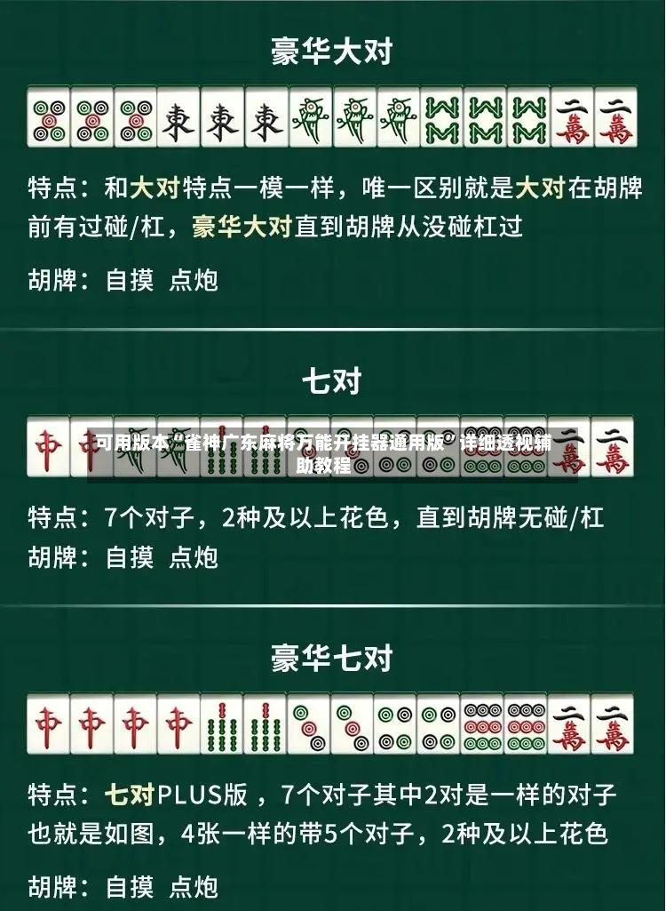 可用版本“雀神广东麻将万能开挂器通用版”详细透视辅助教程-第2张图片
