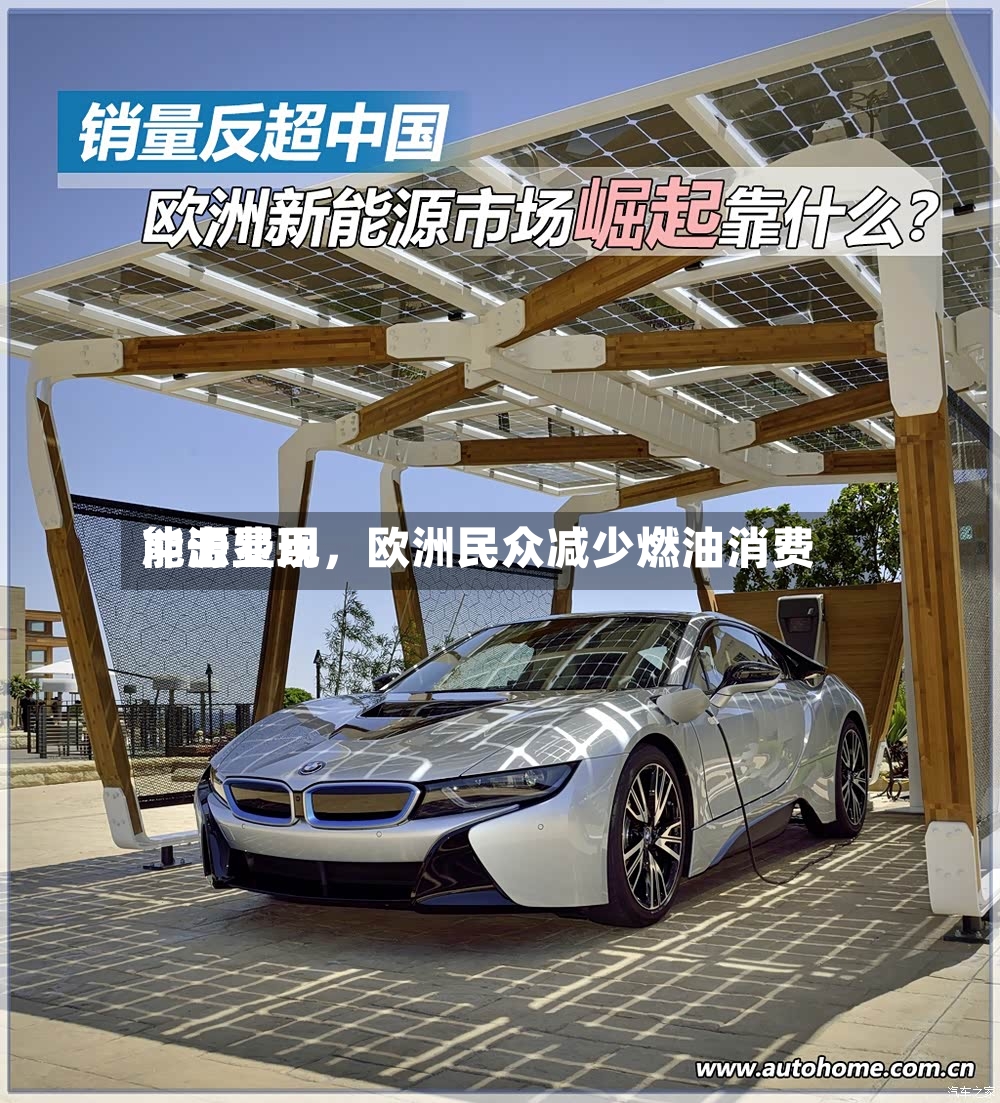 能源费用冲击显现，欧洲民众减少燃油消费
