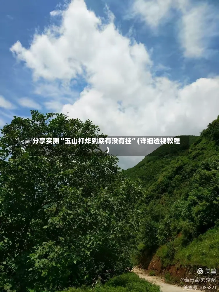 分享实测“玉山打炸到底有没有挂”(详细透视教程)