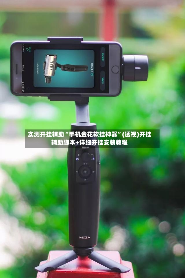 实测开挂辅助“手机金花软挂神器	”(透视)开挂辅助脚本+详细开挂安装教程-第2张图片