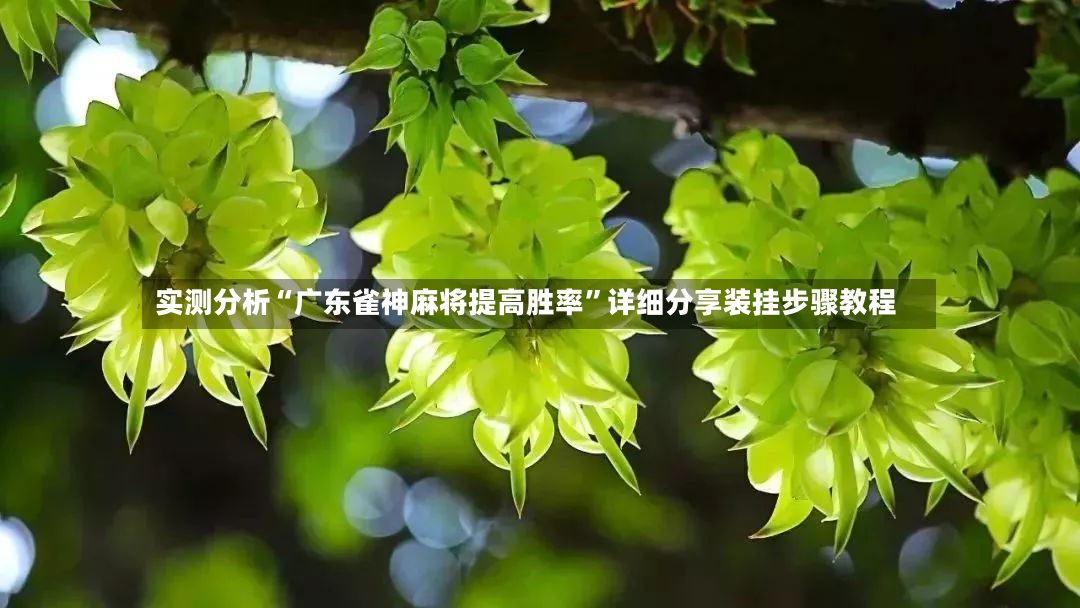 实测分析“广东雀神麻将提高胜率	”详细分享装挂步骤教程-第2张图片
