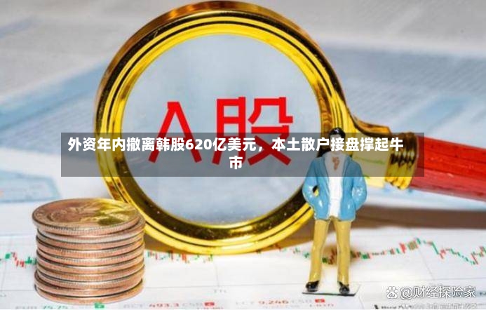 外资年内撤离韩股620亿美元	，本土散户接盘撑起牛市-第2张图片