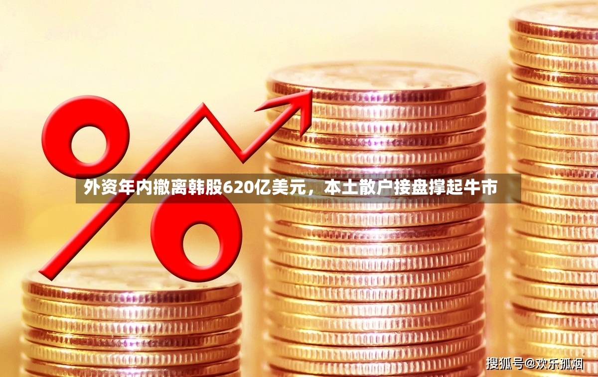 外资年内撤离韩股620亿美元，本土散户接盘撑起牛市-第3张图片