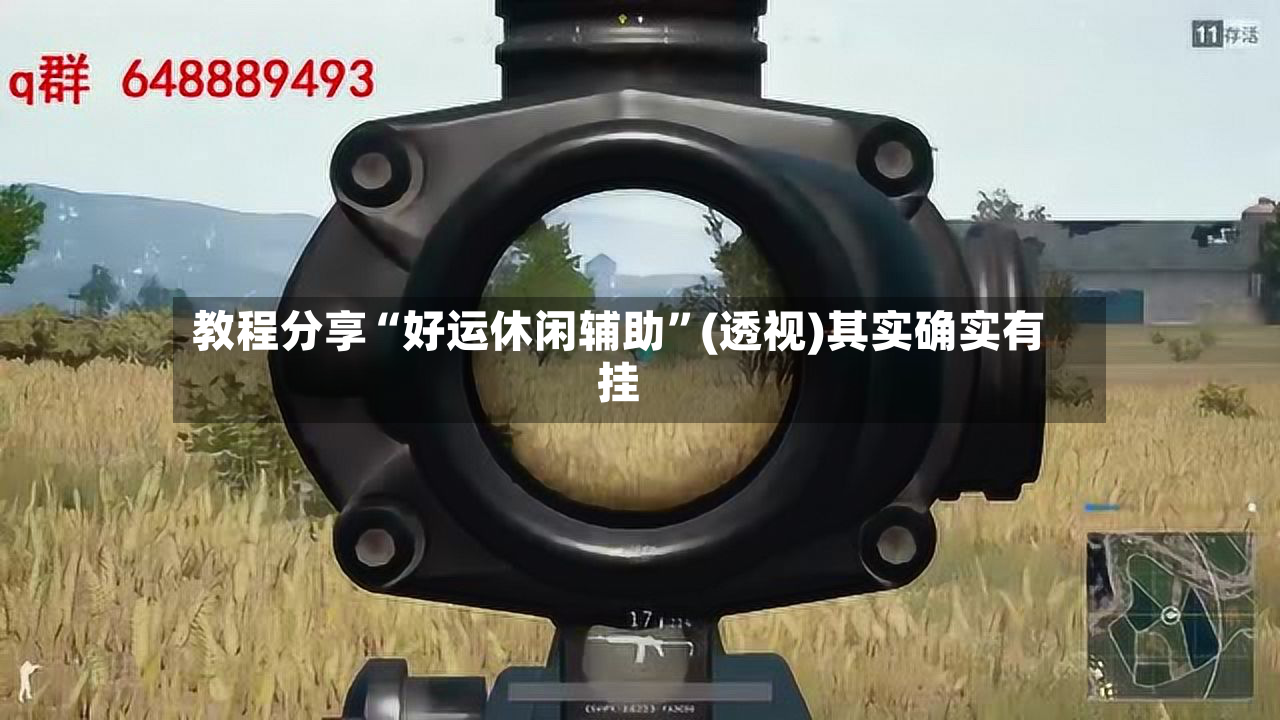 教程分享“好运休闲辅助”(透视)其实确实有挂-第2张图片