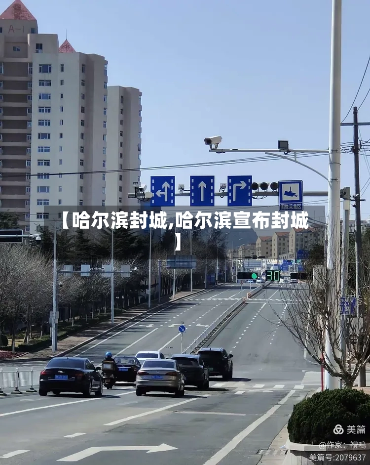 【哈尔滨封城,哈尔滨宣布封城】-第2张图片
