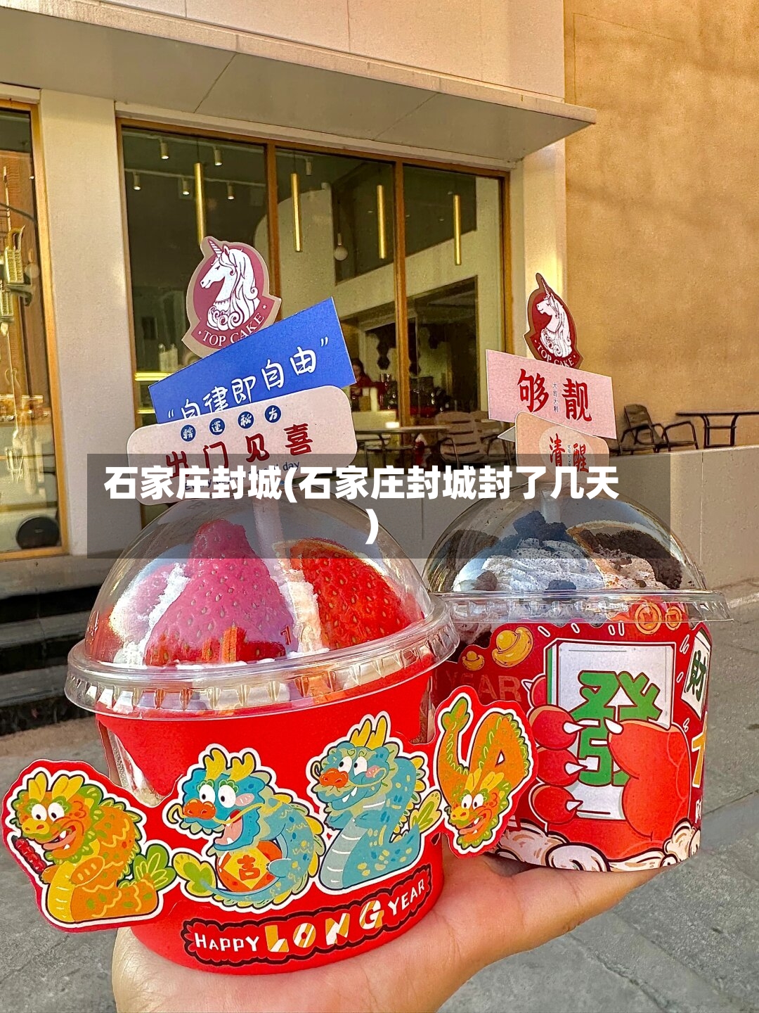 石家庄封城(石家庄封城封了几天)-第3张图片