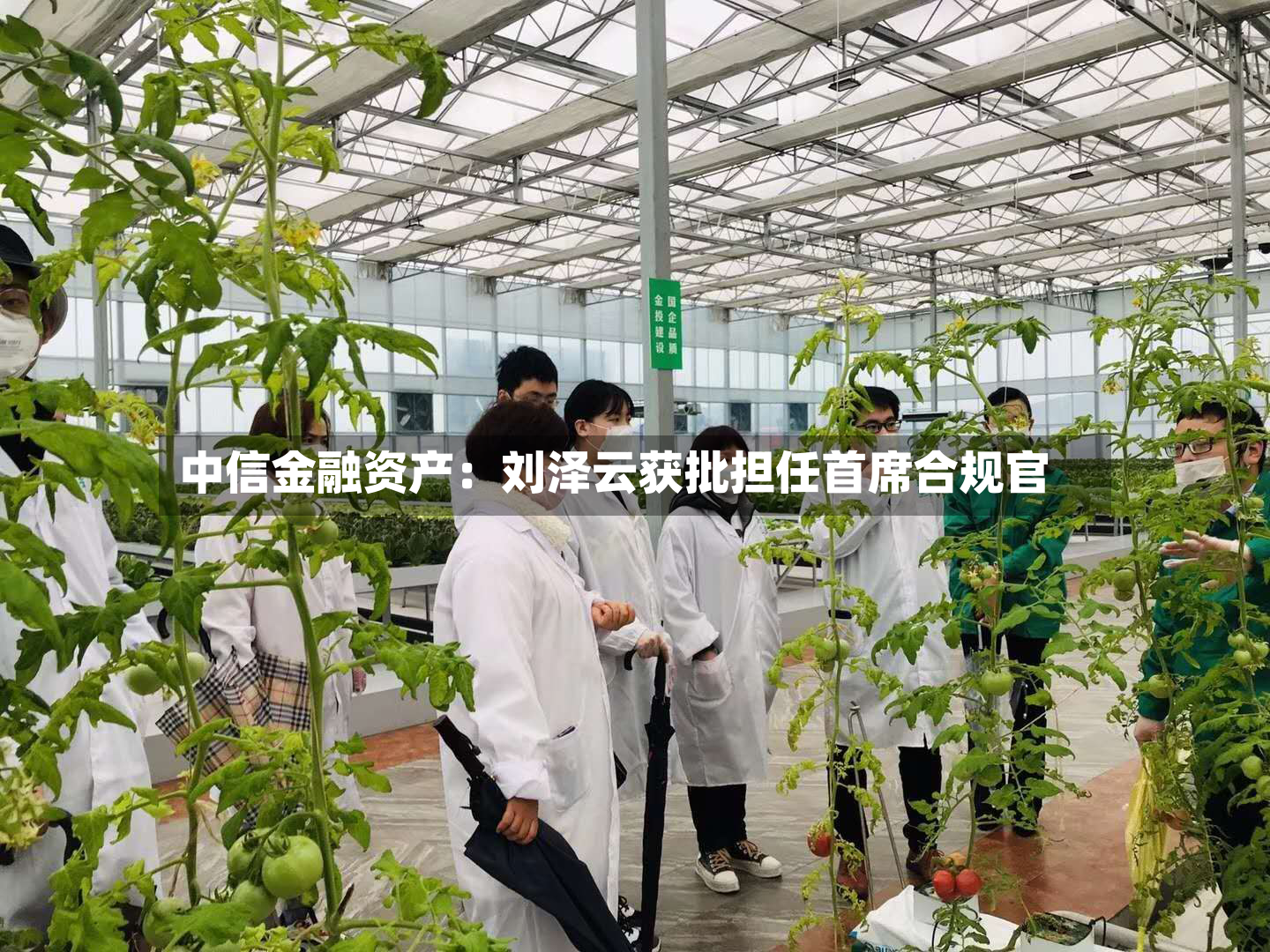 中信金融资产：刘泽云获批担任首席合规官