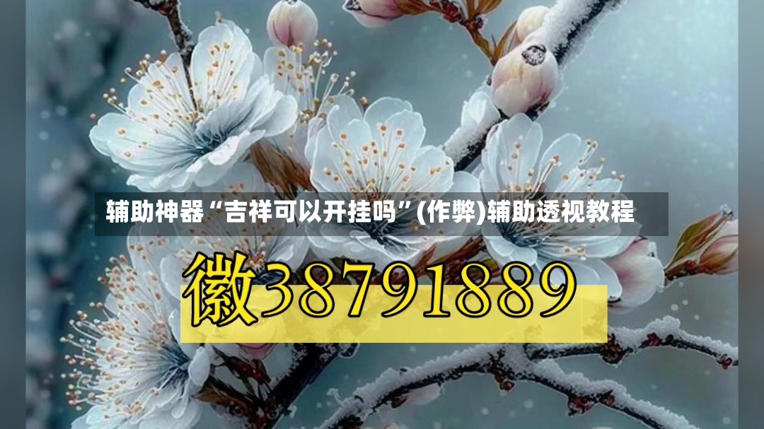 辅助神器“吉祥可以开挂吗”(作弊)辅助透视教程-第2张图片