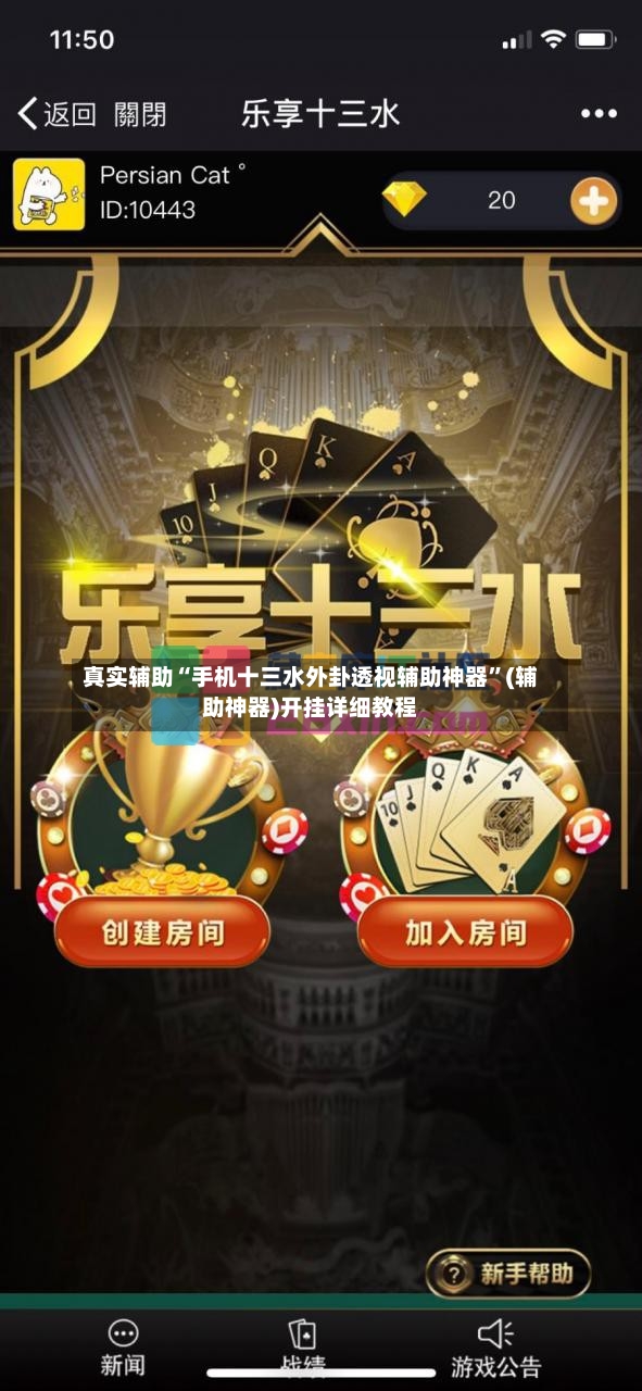 真实辅助“手机十三水外卦透视辅助神器”(辅助神器)开挂详细教程-第3张图片