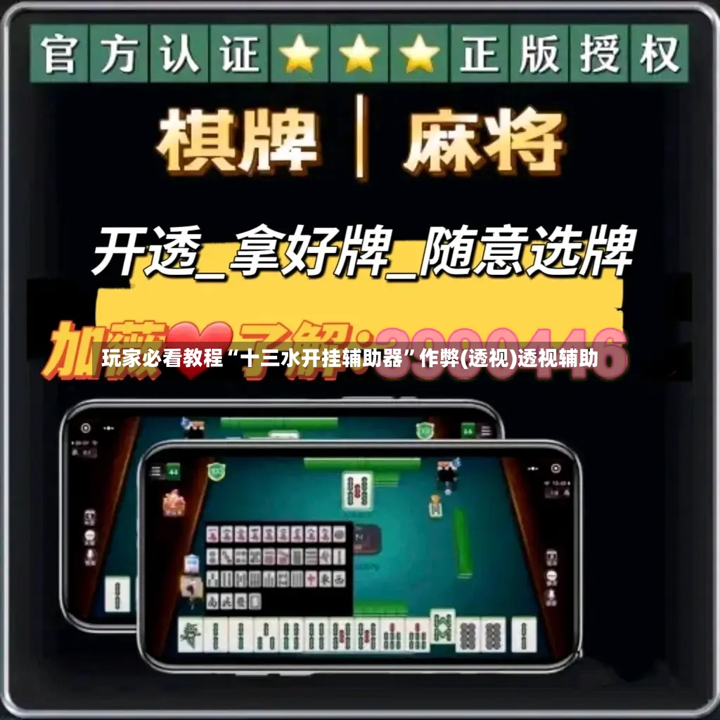 玩家必看教程“十三水开挂辅助器”作弊(透视)透视辅助-第2张图片