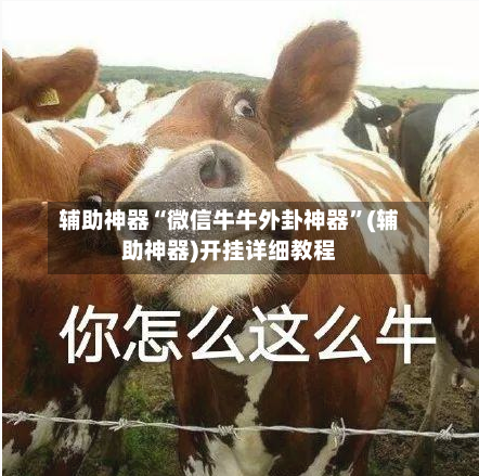 辅助神器“微信牛牛外卦神器	”(辅助神器)开挂详细教程-第2张图片