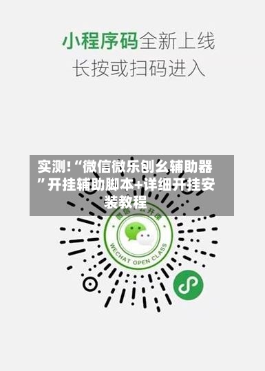 实测!“微信微乐刨幺辅助器”开挂辅助脚本+详细开挂安装教程-第3张图片