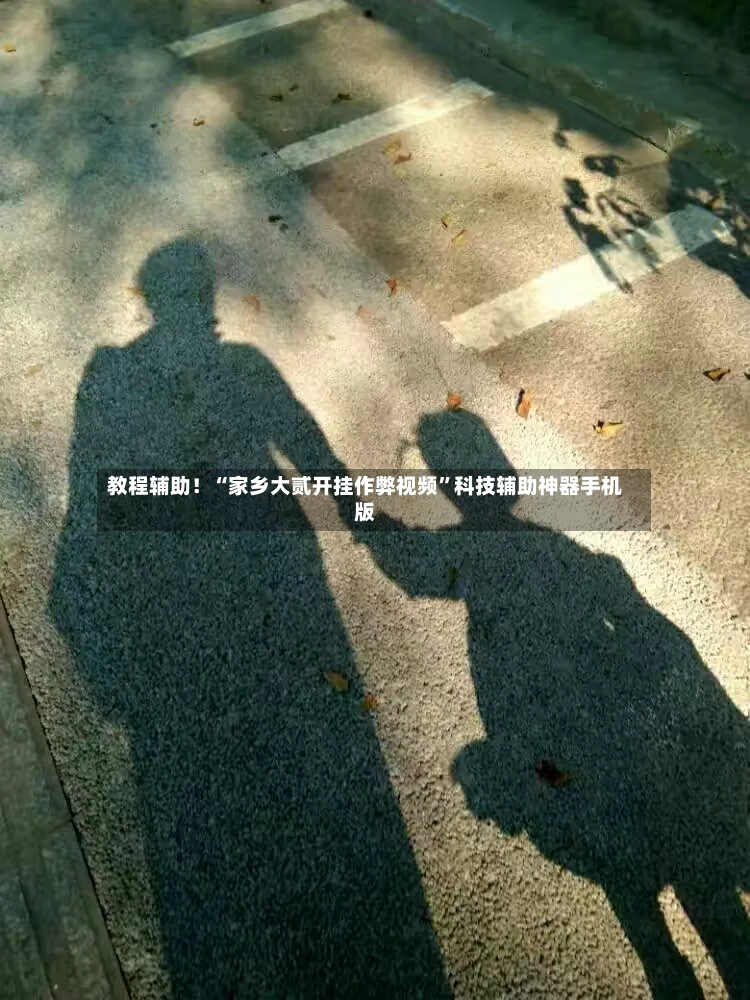 教程辅助！“家乡大贰开挂作弊视频”科技辅助神器手机版-第3张图片