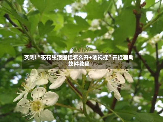 实测!“花花生活圈挂怎么开+透视挂”开挂辅助软件教程-第2张图片