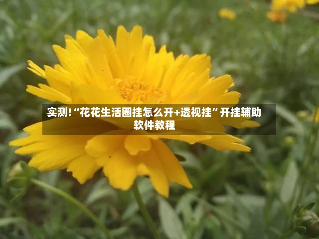 实测!“花花生活圈挂怎么开+透视挂”开挂辅助软件教程