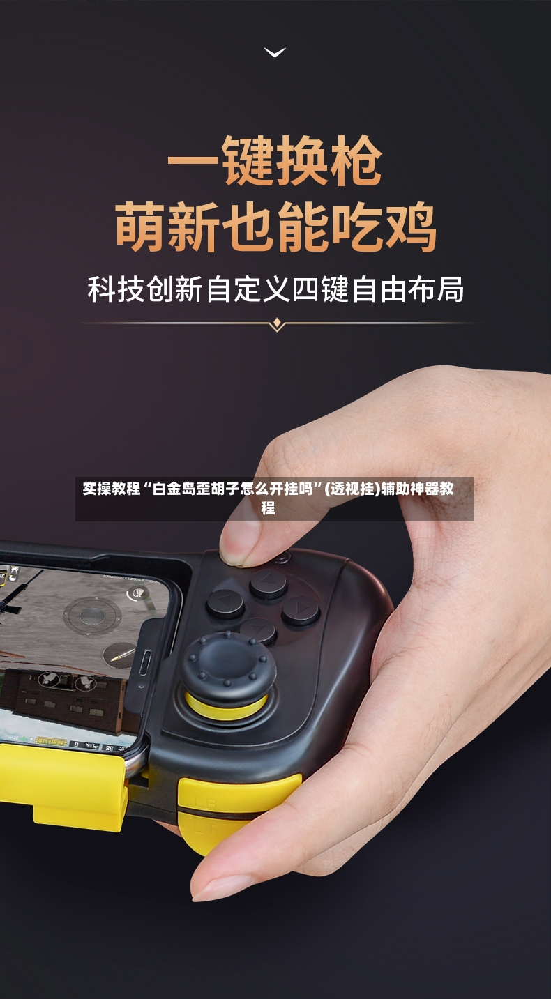 实操教程“白金岛歪胡子怎么开挂吗”(透视挂)辅助神器教程-第2张图片