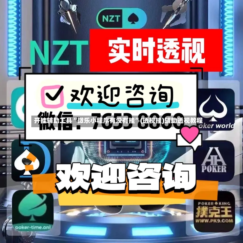 开挂辅助工具“微乐小程序有没有挂”(透视挂)辅助透视教程-第2张图片
