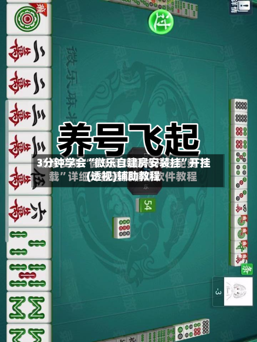 3分钟学会“微乐自建房安装挂”开挂(透视)辅助教程-第3张图片