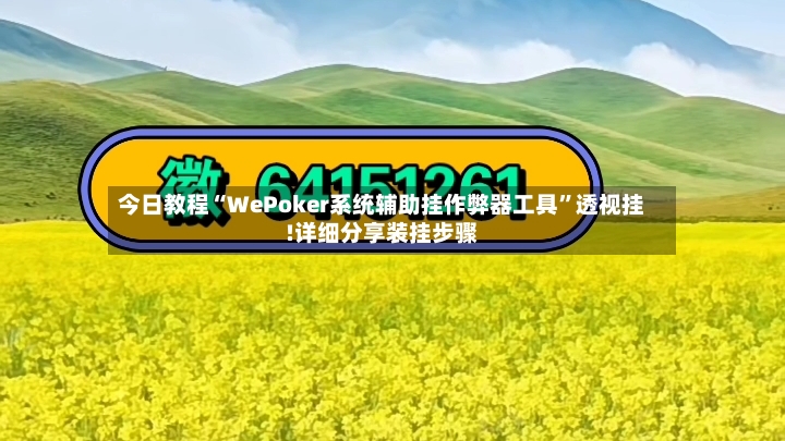 今日教程“WePoker系统辅助挂作弊器工具”透视挂!详细分享装挂步骤-第3张图片