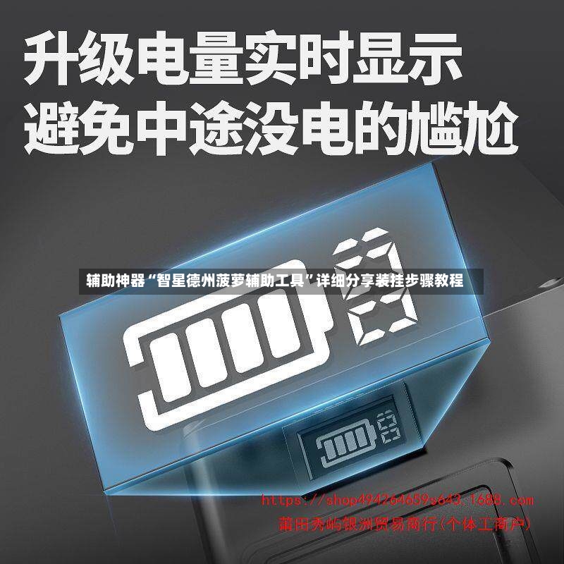 辅助神器“智星德州菠萝辅助工具	”详细分享装挂步骤教程-第2张图片