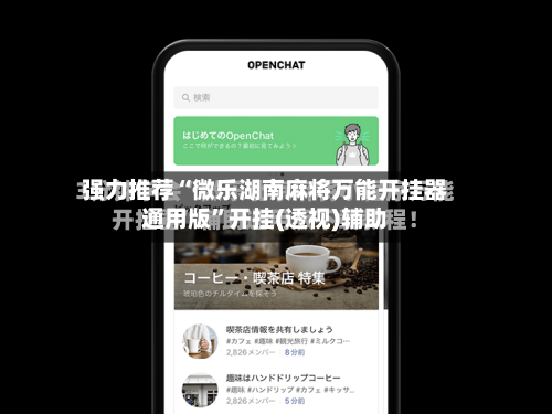 强力推荐“微乐湖南麻将万能开挂器通用版”开挂(透视)辅助-第2张图片