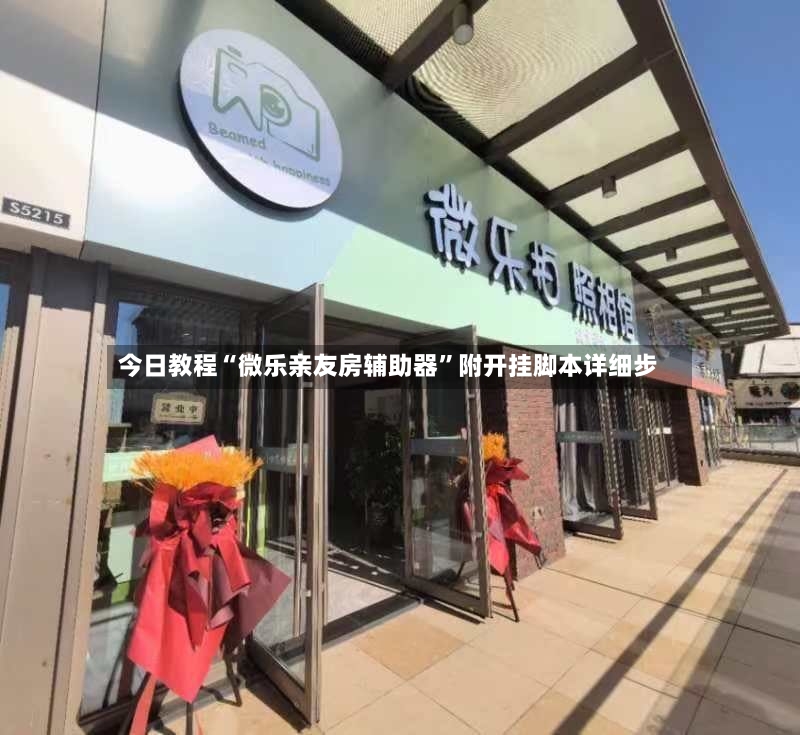 今日教程“微乐亲友房辅助器	”附开挂脚本详细步-第2张图片