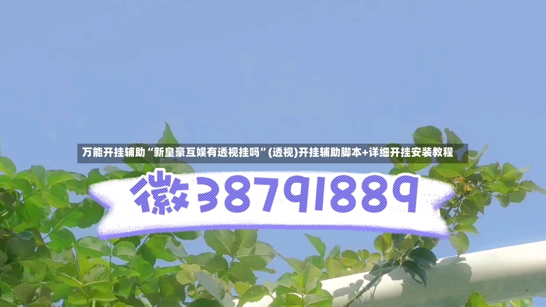 万能开挂辅助“新皇豪互娱有透视挂吗	”(透视)开挂辅助脚本+详细开挂安装教程-第2张图片