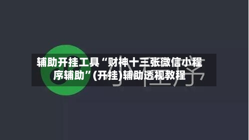 辅助开挂工具“财神十三张微信小程序辅助	”(开挂)辅助透视教程-第2张图片