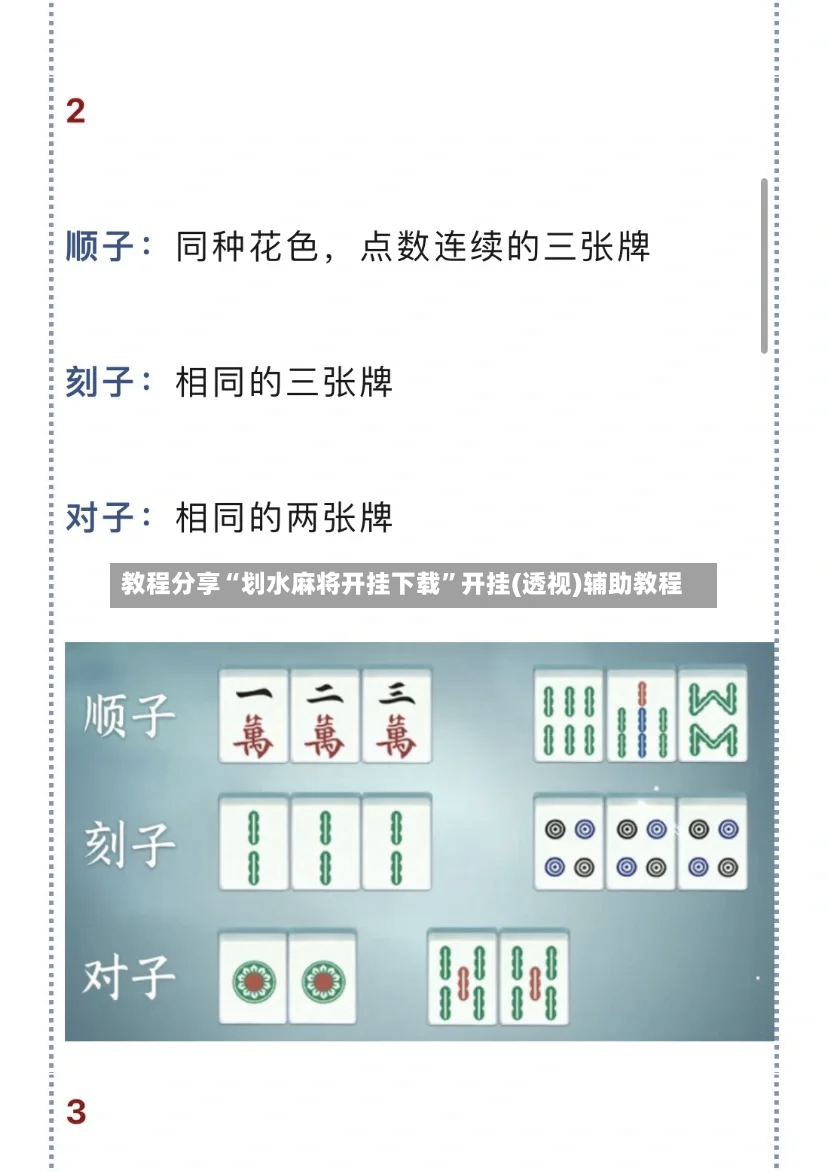 教程分享“划水麻将开挂下载”开挂(透视)辅助教程-第3张图片